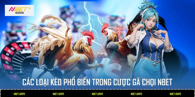 Cược Gà Chọi: Nghệ Thuật Chọn Kèo Và Kinh Nghiệm Thắng Lớn 3 Các loại kèo phổ biến trong cược gà chọi NBET