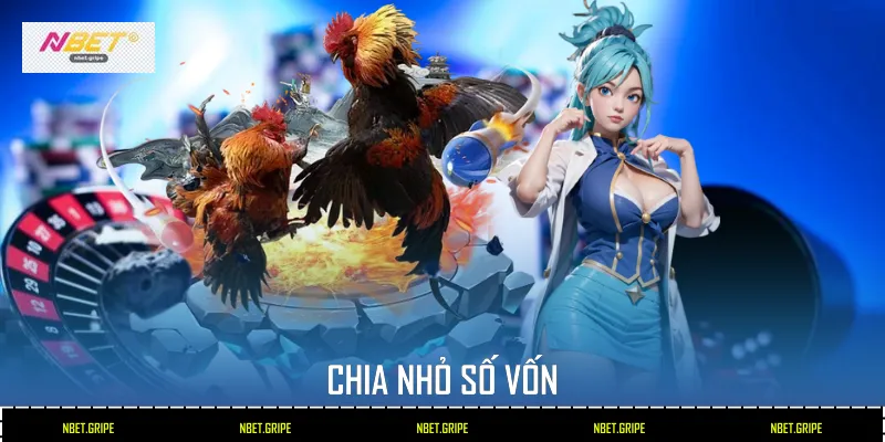 Cược Gà Chọi: Nghệ Thuật Chọn Kèo Và Kinh Nghiệm Thắng Lớn 4 Chia nhỏ số vốn