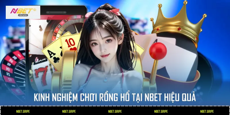 Chiến Lược Đánh Rồng Hổ - 4 Bí Quyết Chơi Hiệu Quả Tại Nbet 3 Kinh nghiệm chơi Rồng Hổ tại Nbet hiệu quả