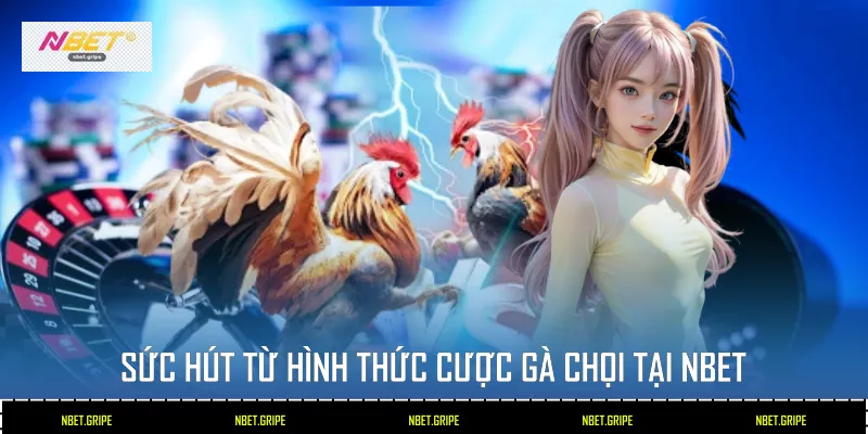 Cược Gà Chọi: Nghệ Thuật Chọn Kèo Và Kinh Nghiệm Thắng Lớn 2 Sức hút từ hình thức cược gà chọi tại NBET